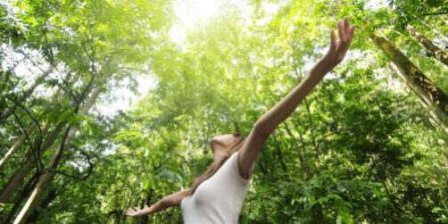 Retreats